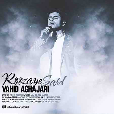 وحید آقاجری روزای سرد